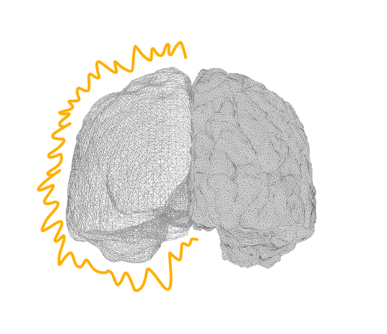 Wireframe illustration of the two hemispheres of the brain